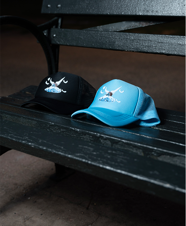 Flying Hedgehog Trucker Hat