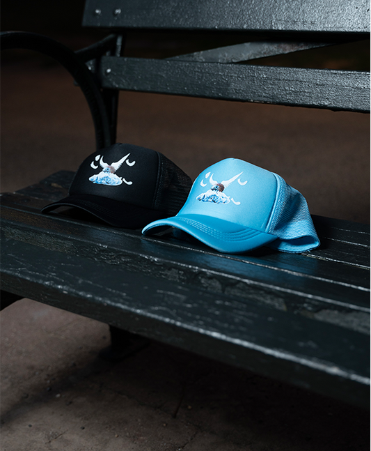 Flying Hedgehog Trucker Hat